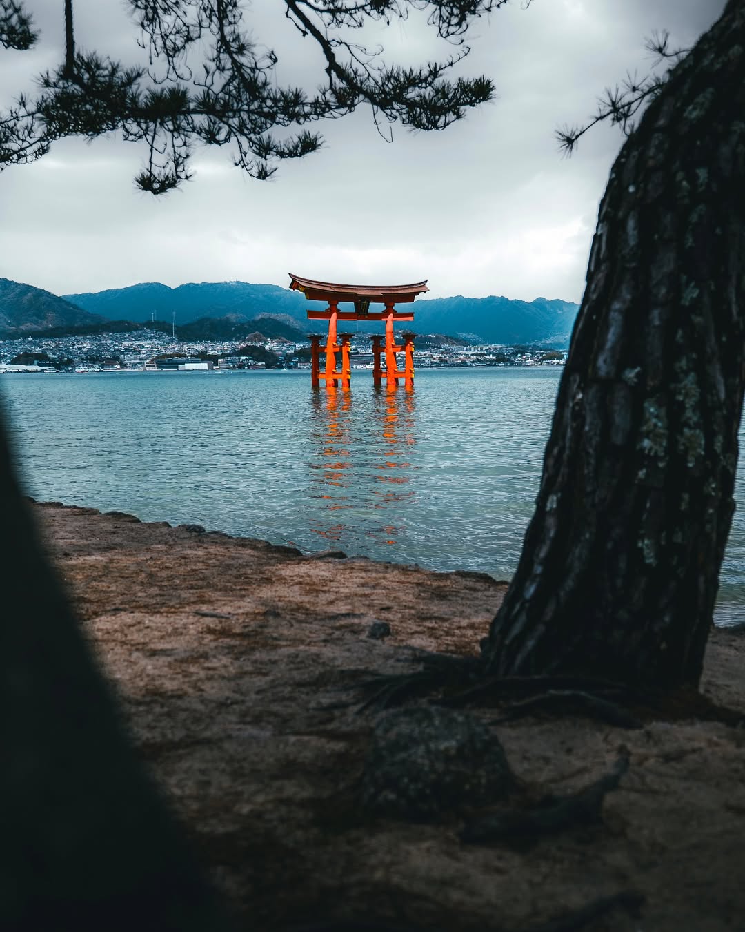 Hiroshima is more than history.
It’s resilience, silence, and unexpected beauty — a place that reminds us what peace truly looks like.
“From ashes to blossoms — Hiroshima teaches us that light can grow from the darkest roots.”
📍 Hiroshima, Japan
📷 Leica SL3S
#Hiroshima #VisitJapan #LeicaSL3S #JapanPhotography #CinematicTravel #EmotionalLandscapes #TravelWithMeaning #PostcardPlaces #MoodyJapan #TravelDeeper #LeicaGallery #ExploreAsia #SilentStories #PhotographyWithSoul #FromAshesToPeace