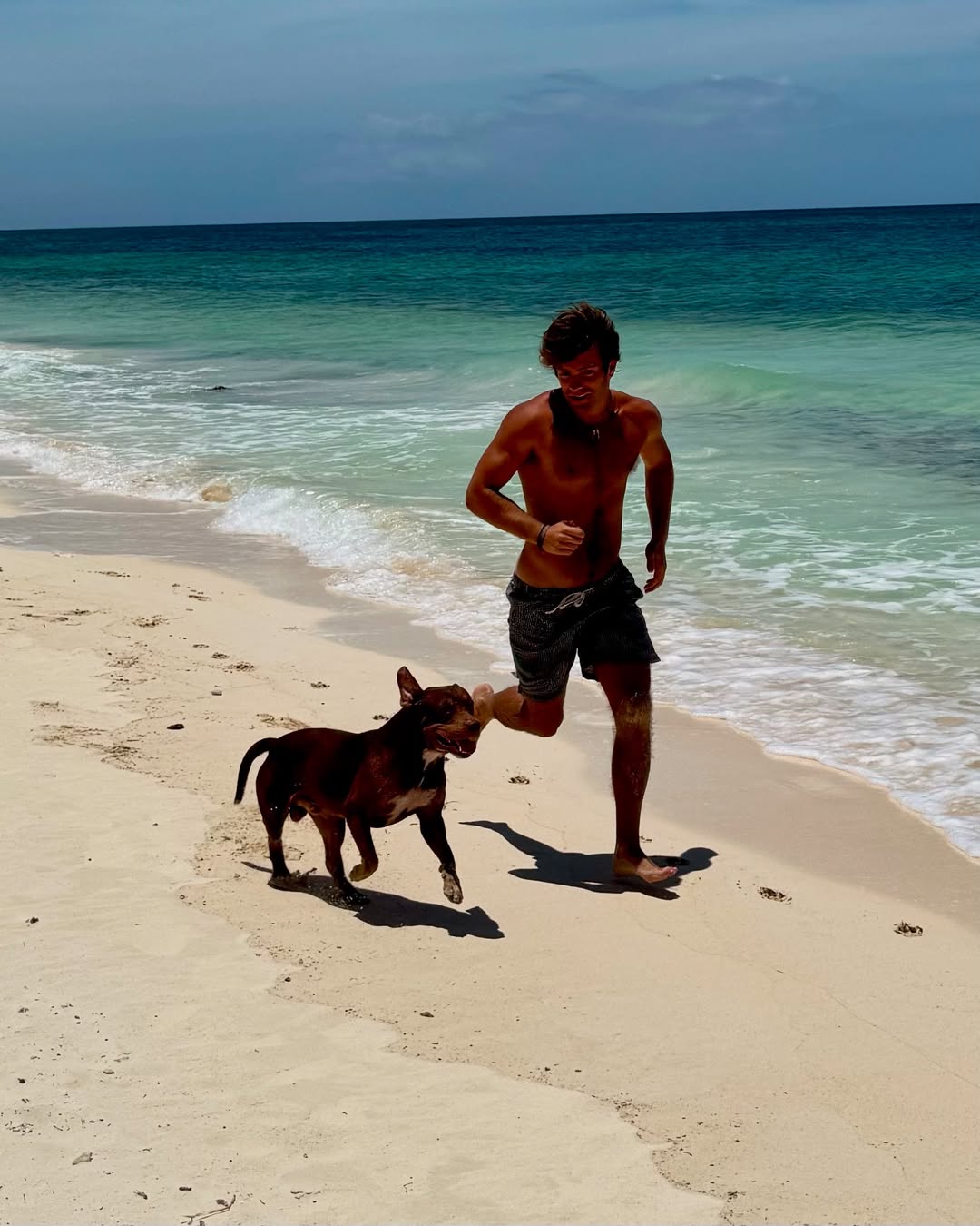 I trust this random pit bull I found in the Bahamas more than I trust that there are no Epstein files.