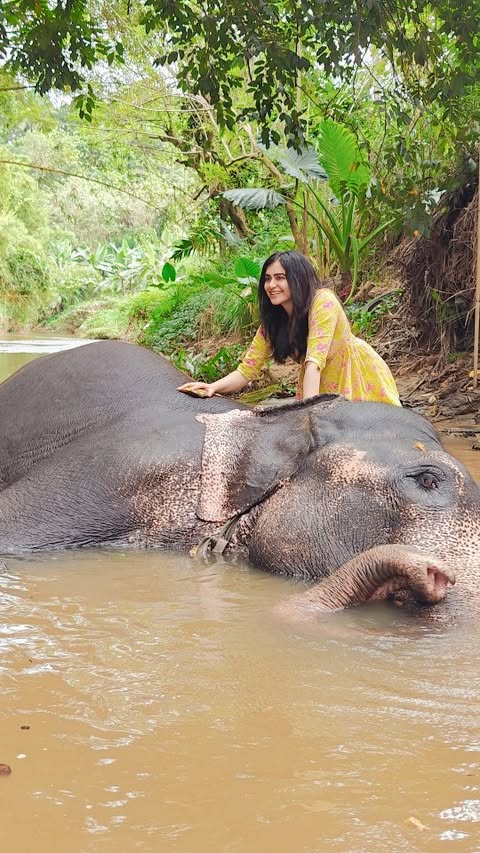 Spa Treatment chaalu hai... Kindly silence maintain karke rakhiye 🐘🫀