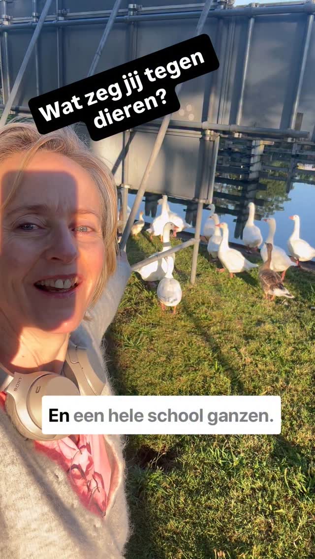 -30 kg👈🏻 Ik wandel iedere ochtend sinds 2019 om 6.30 uur 6,5 km en ik knap er altijd van op. Sterker nog het heeft mijn leven veranderd💪🏻
#wandelen #wandelvrouw #ochtendwandeling #routine #routines #lopen #ochtendroutine #afvallen #afvallenzonderdieet #gezondafvallen #afvallenzonderlijnen #motivation #gezondheid #gezondleven #drive #schoonheidssalon #gezondelevensstijl #stresshantering #stressmanagement #stressfree #stressrelease #leefstijlverandering #gezondeleefstijl