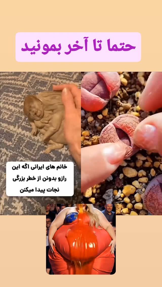 ❌منع مصرف❌👇🏻
رازیانه : کیست سینه و فیبروم و میوم و اندومتریوز
پونه کوهی : کبد چرب
حواستون باشه توی هیچ کدوم از این ۴ تا زیاده روی نکنید‼️
اگر این پست ودوست داشتی سه تا قلب قرمز برام بذار و پیجمم فالو داشته باش که کلی در جهت سلامتیت کمکت میکنم❤️
@makeupvideos.ir
@makeupvideos.ir
@makeupvideos.ir
@makeupvideos.ir
#فیبروم #کیست #رحم #پاکسازی #زنانه #سلامتی