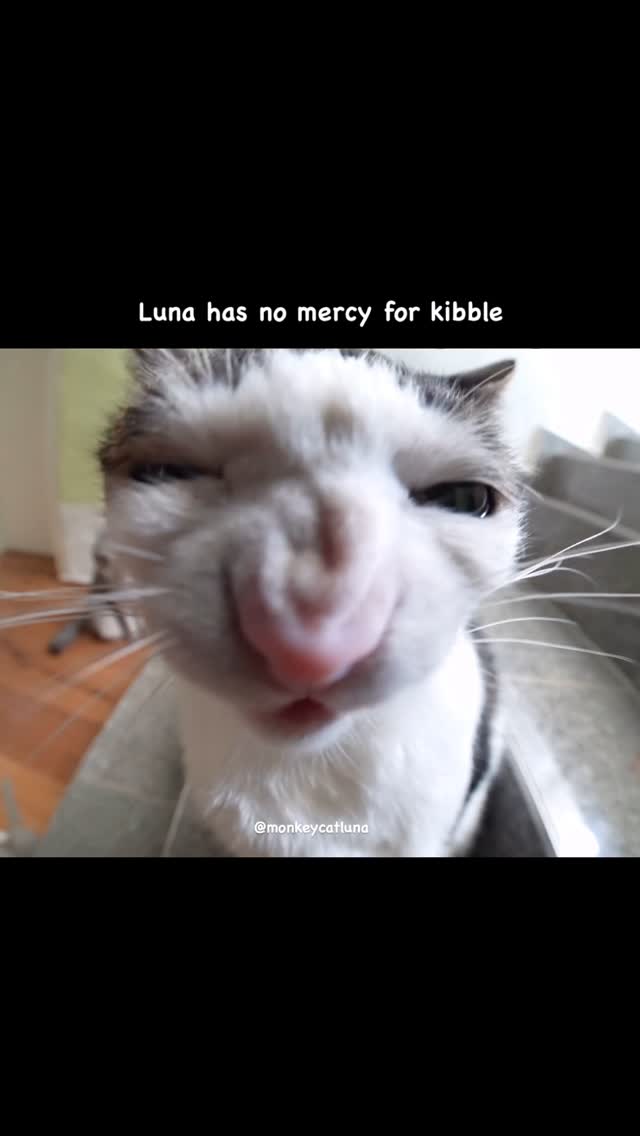 Full video on Youtube