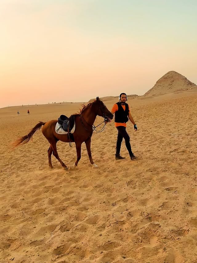 🐎🏇🎠 #Horse
#HorsesOfInstagram
#HorseLover
#Equestrian
#ArabianHorse
#Horsepower
#HorseLife
#Gallop
#MajesticHorse
