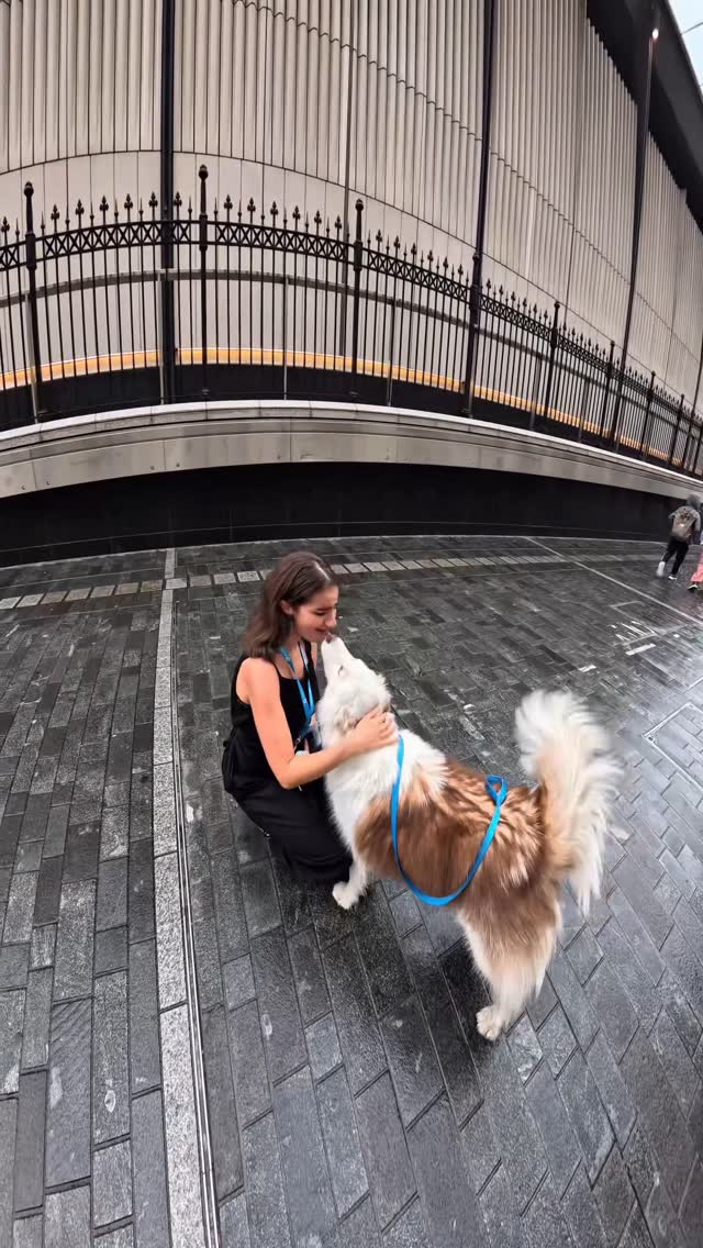 Interactions with my dog!!
#husky #viral #fyp #dogsofinstagram #famous #doglover #petlover #dogoftheday #viralvideos #viral #animallovers #trendingreels #trending #dogsoflondon #pubitypets #violasnow #doggo #london #instagram #siberianhusky #celebrity #vlogging #puppylove #dogs #pets