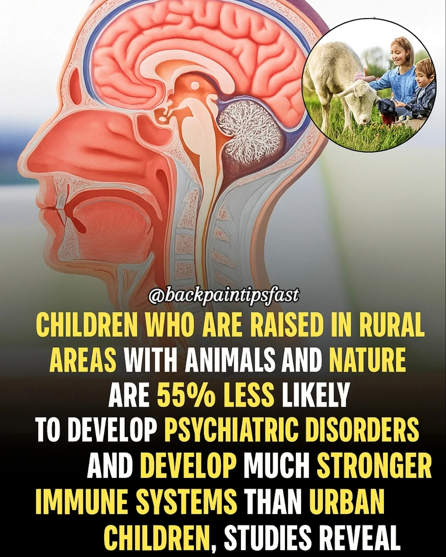 🌾 NATURE HEALS THE BRAIN & BODY 🧠💪
New research reveals that children raised in rural areas — surrounded by nature and animals — are 55% less likely to develop psychiatric disorders. Not only that, but they also build much stronger immune systems than their urban counterparts.
Exposure to clean air, soil microbes, animals, and unstructured outdoor play helps regulate stress, balance the nervous system, and foster resilience from the inside out. 🌱
Tag a parent who should know this 👇
Follow @backpainremedy.tips 👈
.
.
.
#MentalHealthMatters #ImmunityBoost #NatureForKids #BackPainTipsFast #ChildDevelopment #HolisticHealth