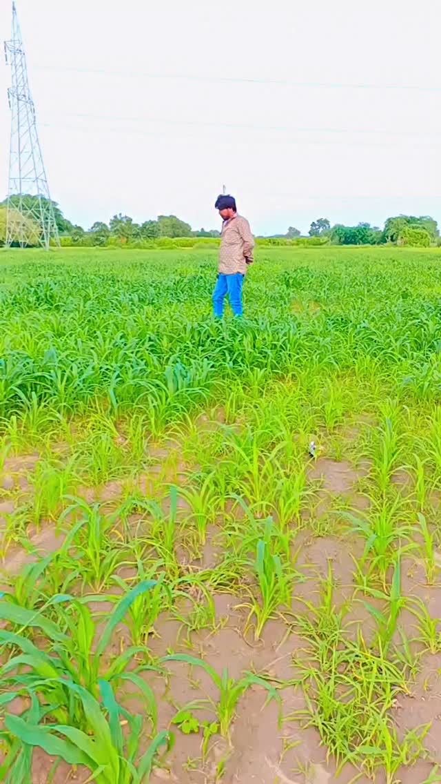 #sumerrana #8511983569📲