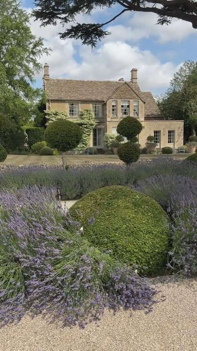 The English countryside in the summer💕