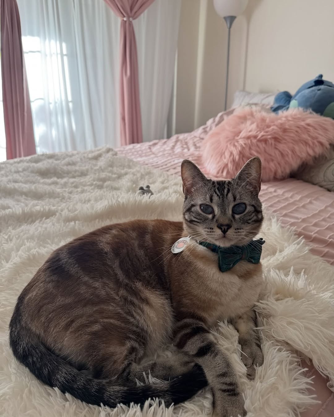 🚨 UPDATE: HE HAS BEEN FOUND!! 🚨
Thank you to everyone who has reposted, shared, and reached out. He got his medication in time and is home now and in good condition. I will update the story later. I’m exhausted.
Words can’t describe my gratitude to all of you. Thank you. My baby is home ❤️