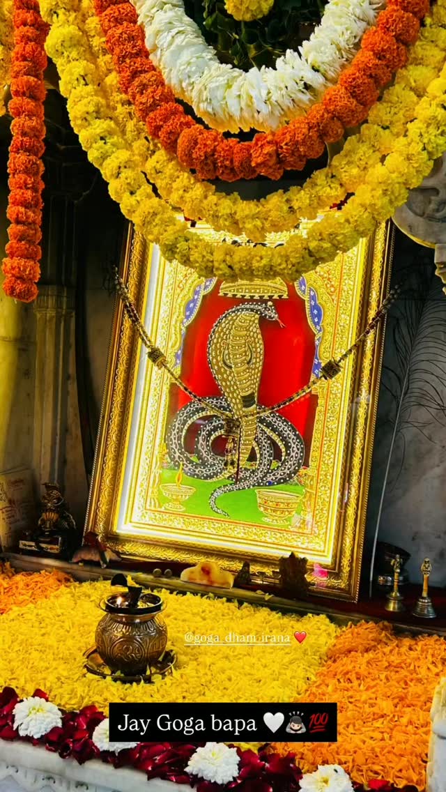 Jay goga maharaj ❤️🙏
.
.
.
#ffollowme: @goga_no_divano__01
#goganadiwana #jaygogamaharaj
#goga_k_diwane #goga_sarkar
#jay #goga #bapa
#viral #reels
#jaygoga🙏🙇 ...