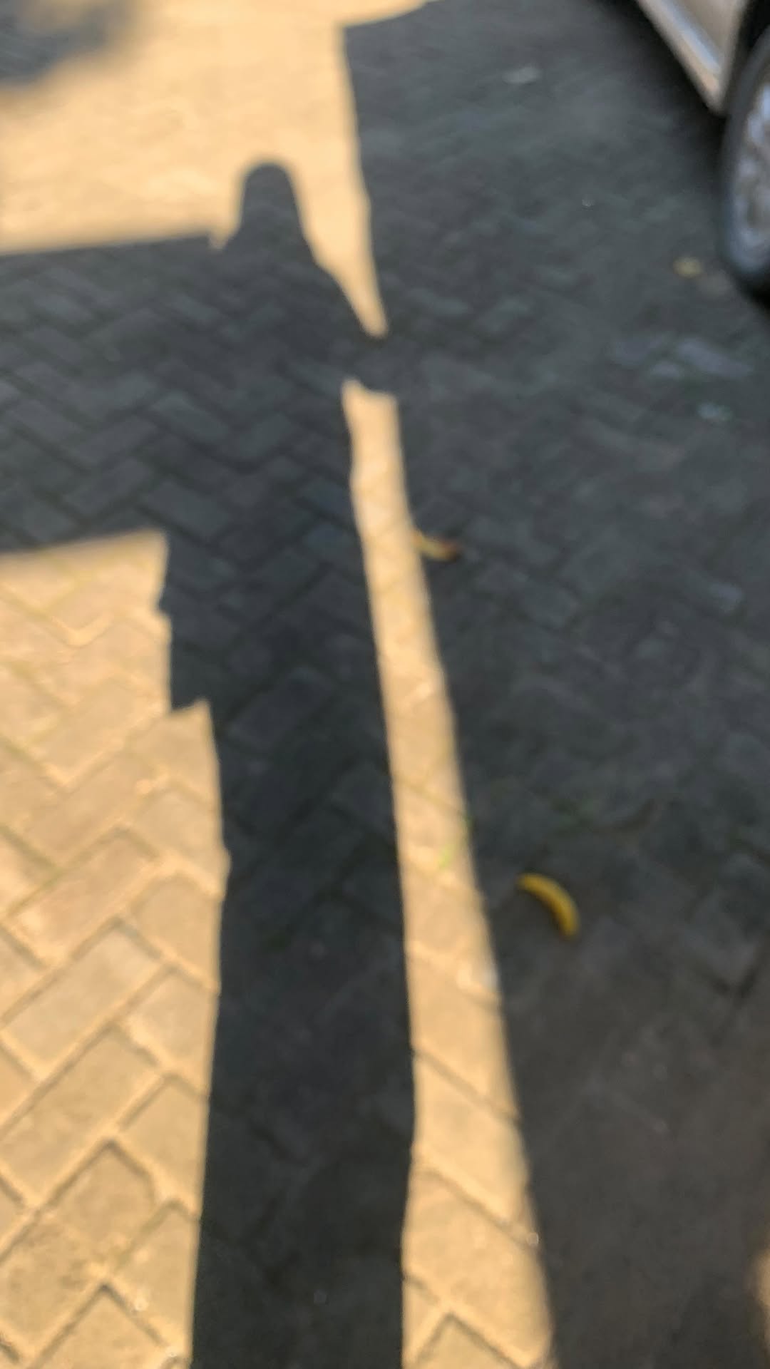 Daek teu barudak?