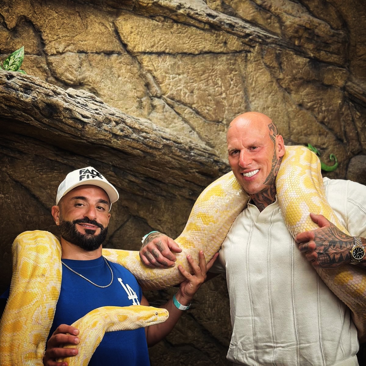 When @krisfade said he wanted to show me his big snake …. I did wonder what he meant 👀 … thankfully this was the one 😂 … huge thanks to @jayprehistoricpets #snake #irvine #cali