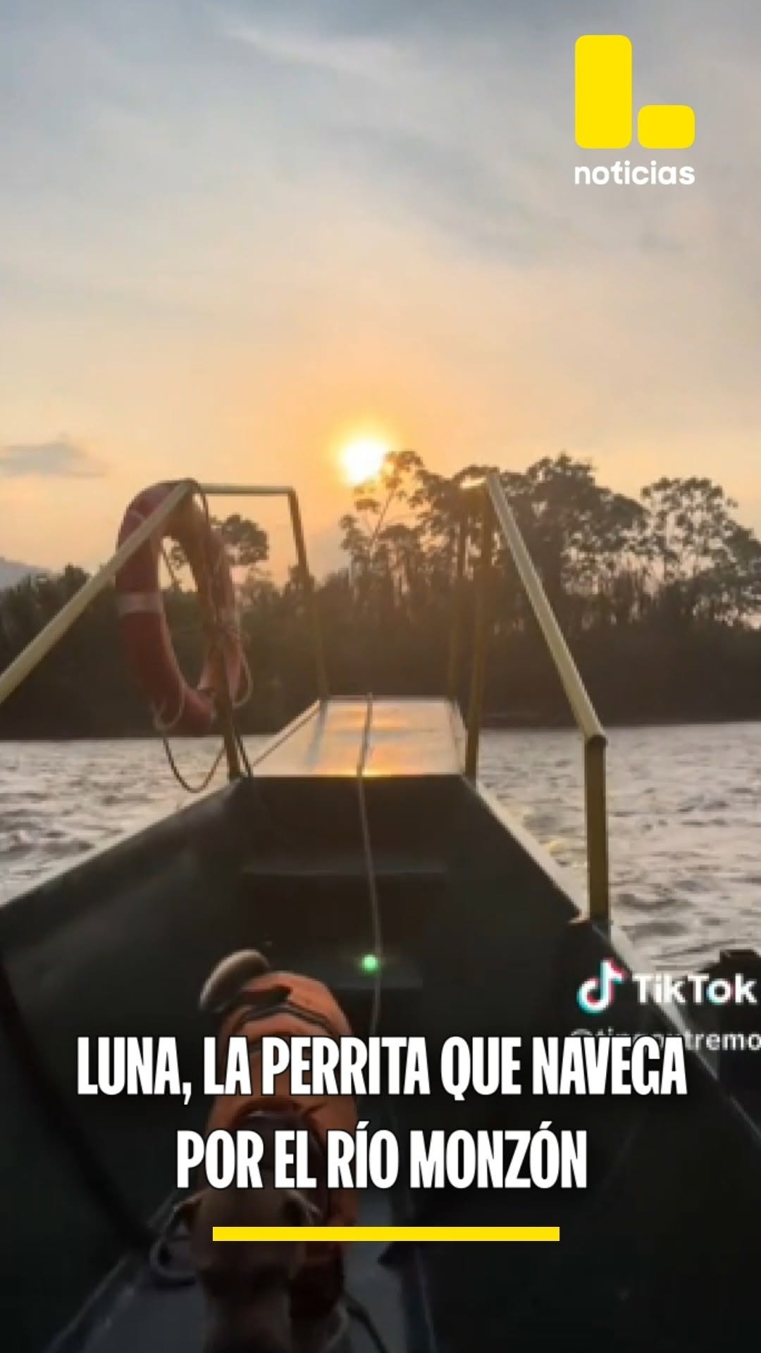 Luna, la perrita que lidera tours turísticos y navega por el río Monzón, en Huánuco.