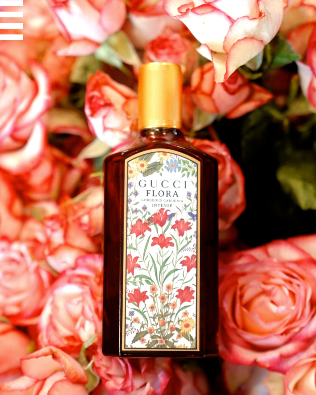 Nada como el nuevo Flora Gorgeous Gardenia Intense @guccibeauty🌸
Notas de mandarina, gardenia y sándalo... ¡Parece que acabas de conocer a tu fragancia perfecta para el verano!
Disponible en pre-lanzamiento en Sephora hasta el 31 de julio.
Solo en Sephora.
#SephoraSpain #Fragrance #Gucci #GucciFlora