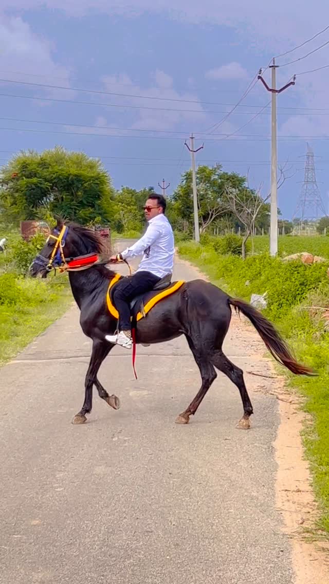 💫#horse #riding #horsesofinstagram ….