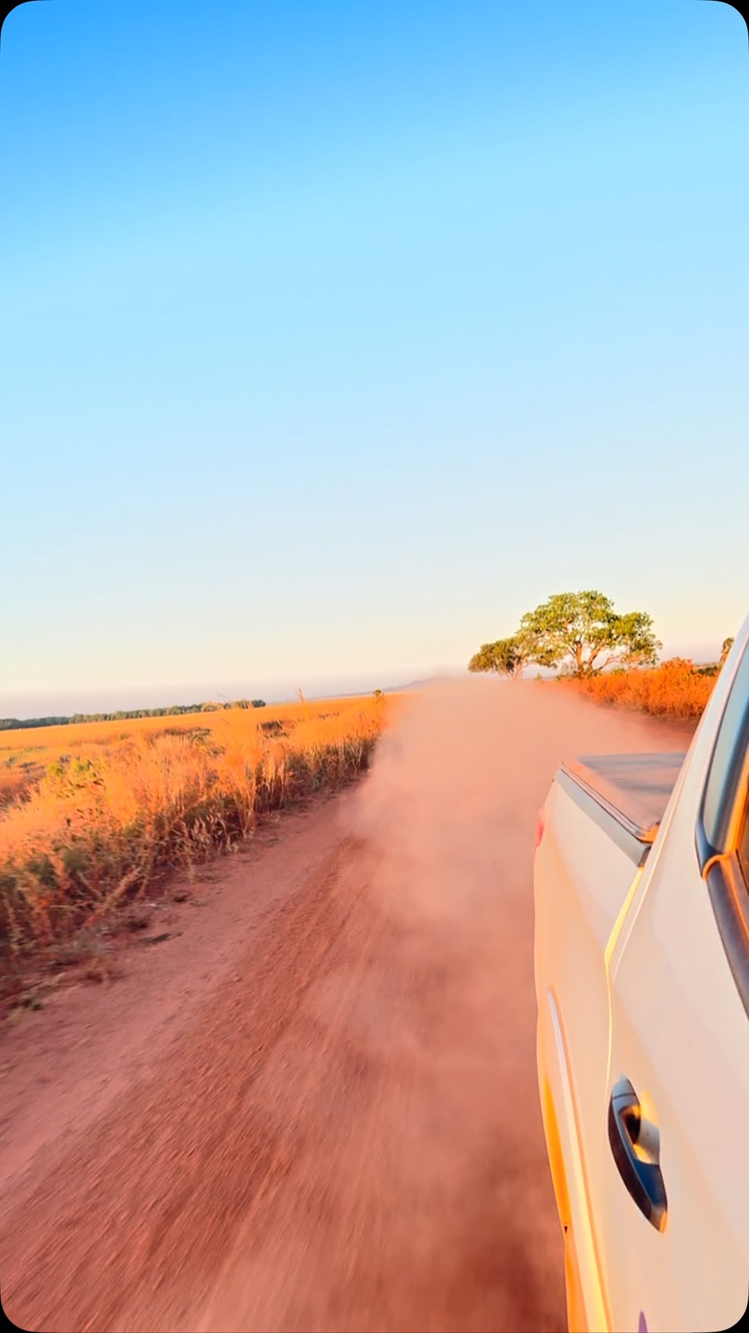 Aqui é assim !
Quem fica atrás come poeira,bora que hoje o palco do show é em Santa Maria da Barreiras-Pa 🛻💨 4x4