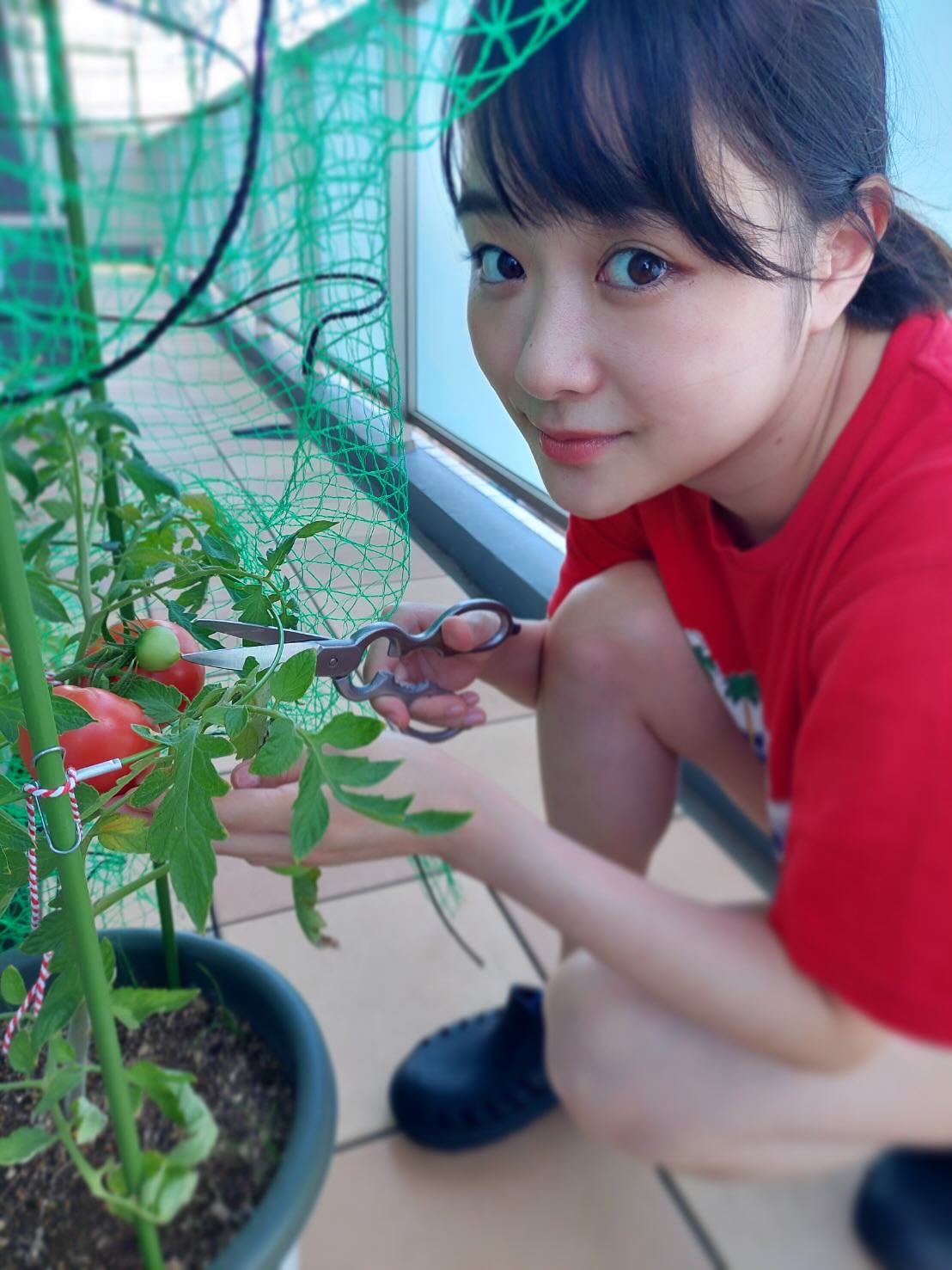 夏の思い出🌻
春からずっと育ててきたトマトちゃん🍅
ある時、モスバーガーにてテイクアウトした際、
「トマトの種を今お配りしてますー☺️」とお会計の時に渡され、
育ててみようと試みました!
人生初の家庭菜園
大変だったり、心配事は多かったけど、無事収穫しました✨
頑張ったトマトちゃん、、🥹
皮はパリッと、
中のタネもしっかり育っていて、美味しくいただきました😌
はぁー感動✨
自然の恵みを大いに感じて、改めていつもの野菜たちに感謝しました🥺
モスバーガー様ありがとうございました✨🍔
#家庭菜園
#モスバーガー
#トマト