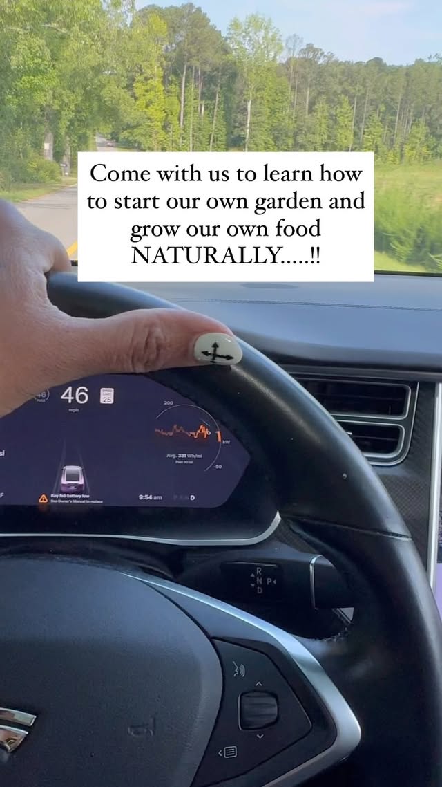 My daughter and I recently had an incredible experience learning to grow our own food and start our own garden 🪴 with niyabrownmatthews and her husband. This knowledge feels more crucial than ever, given everything happening in our community and worldwide; we believe that understanding how to cultivate our own food will be absolutely key for the future. We learned about the different soil types, seasonal planting, and optimal growing times for various foods. We even learned the surprising benefits of worms in the soil and discovered which fruits and vegetables have powerful healing properties for the body.
Our teacher, who has bravely overcome cancer twice and significantly improved her health by growing and consuming her own produce, was an absolute inspiration. Her and her husband’s expertise and passion were truly amazing, and I highly recommend their guidance to anyone looking to start their own food-growing journey.
We will be starting our own greenhouse soon in our backyard. I asked my kids if they wanted to build a pool or a greenhouse and they both said “ greenhouse” 💕🫶🏽 Great 😊 Job! 😍