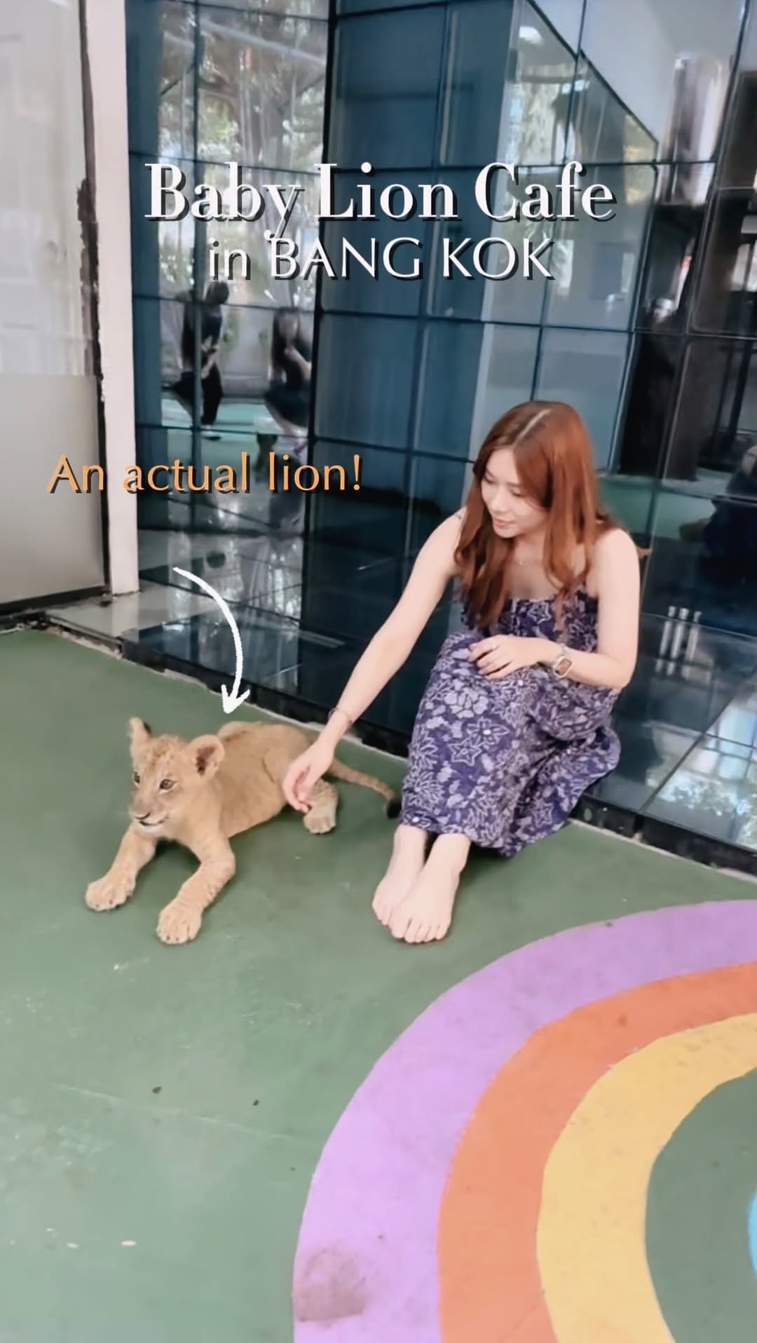 曼谷|Bangkok 🇹🇭 竟然抱到了真的獅子寶寶🦁️
Lion cub & other exotic pets Café ☕️
這次在曼谷發現了這家可以抱小獅子的Cafe!
只有兩個月大的獅子寶寶,本來以為能摸摸牠已經很滿足,沒想到我竟然大膽地將牠抱進懷裡🤭
(不要亂學我,要聽職員話小心被抓)
另外,還有手掌般大小的「侏儒絨猴」,真的超級可愛。店員還分享了一個小知識:原來牠們嚴格來說不算是猴子喔🐒
這裡的也有不同品種的貓咪,都超級溫馴,任你抱也不會逃跑的🐱
—-
Cuddling a lion cub in Bangkok was just unreal!
It was only two months old, and I actually got to hold him. 🦁
Also met a palm-sized Pygmy Marmoset (Fun fact: not technically a monkey!) 🐵
There are different species of cats here too, which are all surprisingly tame. They will happily let you cuddle them without trying to escape 🐱
#曼谷旅行 #泰國旅行 #Lylytravel #LylyBangkok
Have you touched a lion 🦁 before?
