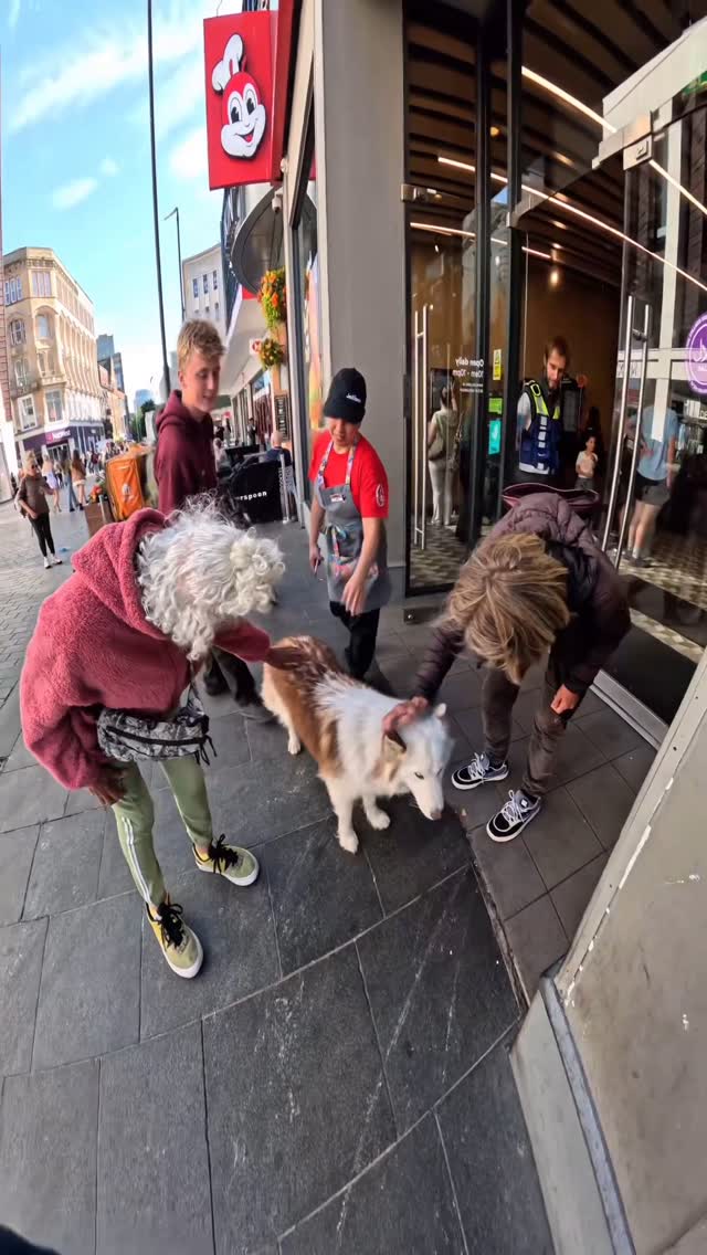 Viola likes chicken!!
#husky #chicken #trendingreels #dogsofinstagram #dog #reels #jollibee #violasnow #viralvideos #petlover #famous #puppy #liverpool #celebrity #dogsoflondon #animallovers #doggo #funny #pubitypets #viralvideo #wshh #famousdogs #virałpost #dogoftheday