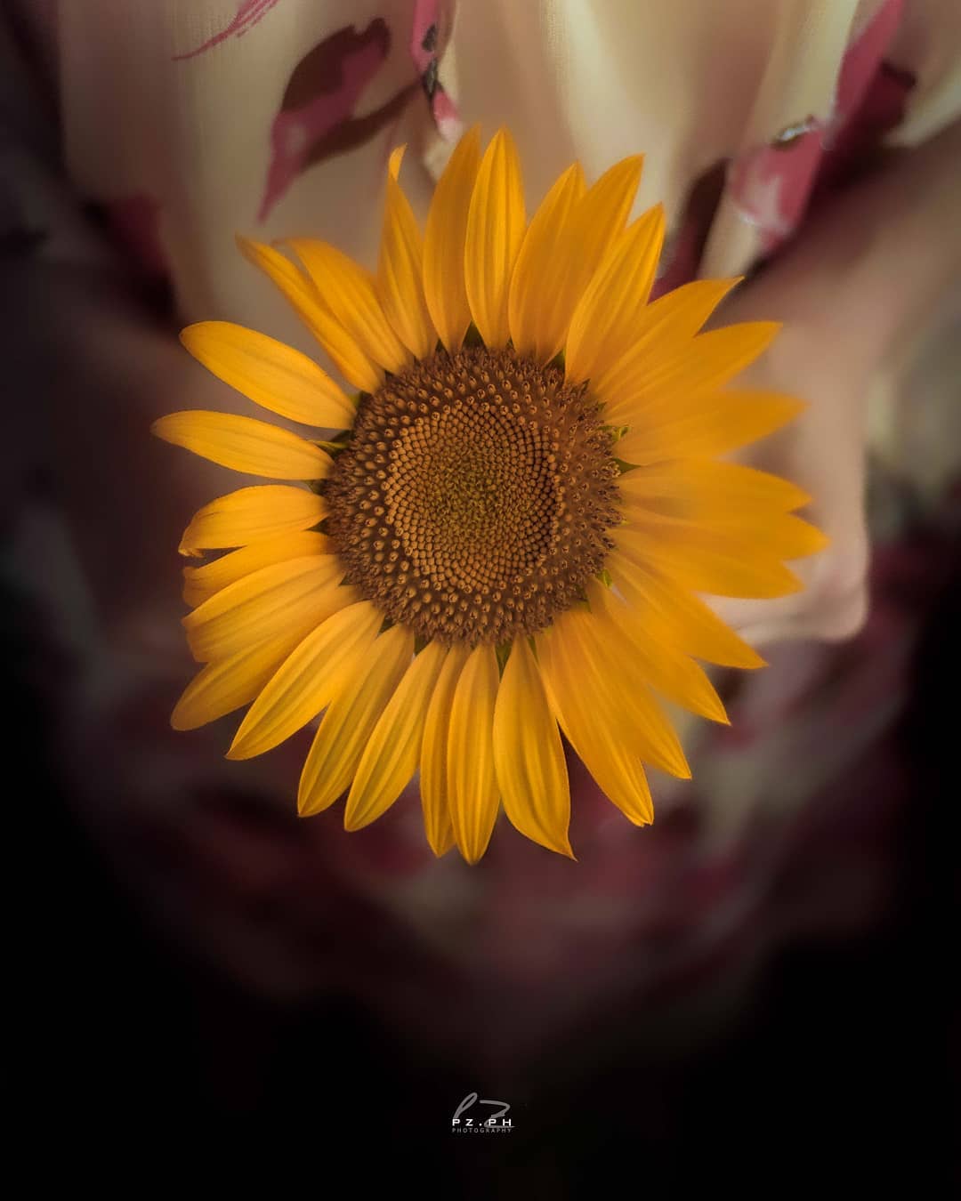 ғᴀɪ sᴇᴍᴘʀᴇ sᴘʟᴇɴᴅᴇʀᴇ ɪʟ sᴏʟᴇ ᴅᴇɴᴛʀᴏ ᴅɪ ᴛᴇ
~