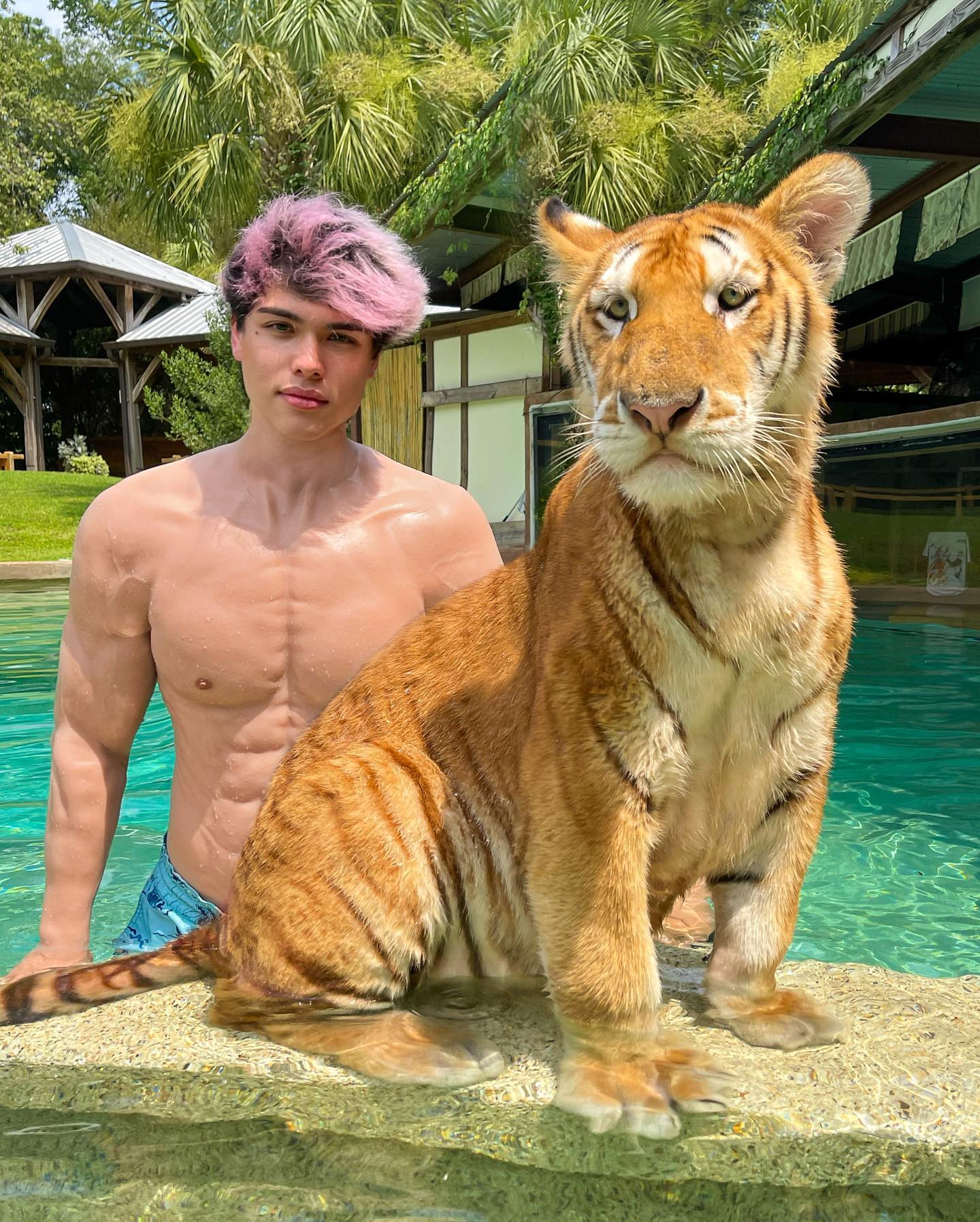 Meet my partner in crime 🐯 @myrtlebeachsafari