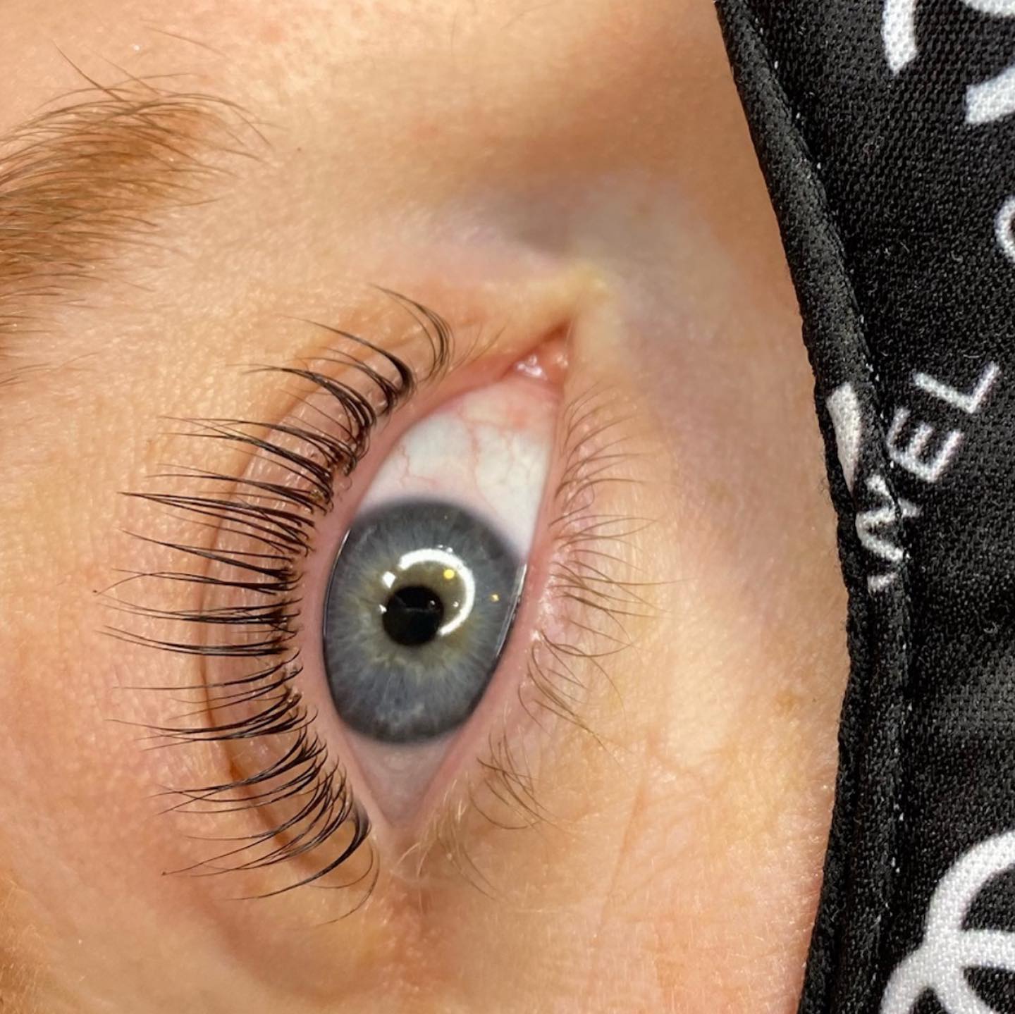 OH MY LASH! Lash Lift and Tint