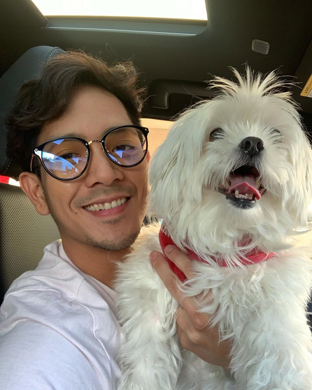 Dogs are the only creatures on earth, that Loves you more than they LOVE themselves. ๐ถ๐พโค๏ธ
#unconditionallove #puppylove