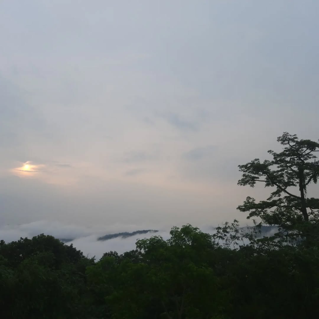 Rongma Gitil: Terribly Underrated Tourist Destinations In Meghalaya
When I first climbed Rongma Gitil hill, I had been travelling for 6 hours, so my first reaction upon stepping out of the car was excitement.
The vast rocky landscape of Rongma Gitil and unbroken
The horizon's cloudiness was a relief followed by an immediate
and profound delight. Be amazed by its size and isolation, but mainly at the possibility that there was a time when Assam and Meghalaya were part of the same landmass.
As icebergs or ships floating in water, continents and the mountains or hills, they comprise "float" on the denser mantle. A keel or root that penetrates deeper into the mantle supports high mountains like the Himalayas. The weight of the crust decreases as the mountains become more eroded. The range's height is determined by the balance between their massive weight and buoyancy in the mantle.
Understanding how mountains or hills form in the future will help us understand our current geography.
And how the past created the present
#northgarohills #garohill #rongmagitil #meghalayas #meghalayan
#hnature #jnature #mnatures
#dhilli #bhillai #fhillipines #bhillwara #vhilli #xhilli #jhilli #dhillons #dhillion #hilllsong #hilllaryclinton #hillfiger #hillviewresort #hotelhillock #hilldriving #hillforest #meghalaya #assam #hill #nature #travel #landscape