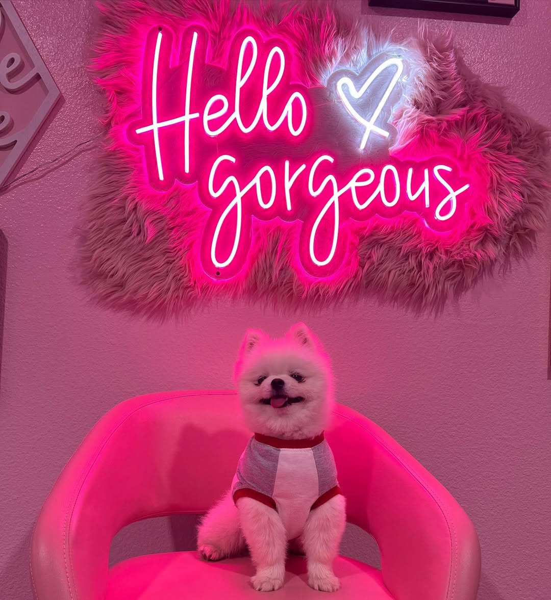 Hello gorgeous 💕
“If you’re sad, add more lipstick and attack” -COCO CHANEL ❤️🔥
•
•
•
#pmu #estheticianlife #classychicbrows #satxpermanentmakeup #satxpmu #satxbeauty #satxmicroblading #satxlips #satxbrows #satxclassychicbrows #satxcosmetictattoo #permanentmakeup #esthetics #estheticssatx #cocochanel #lipblush #cosmetictattoo