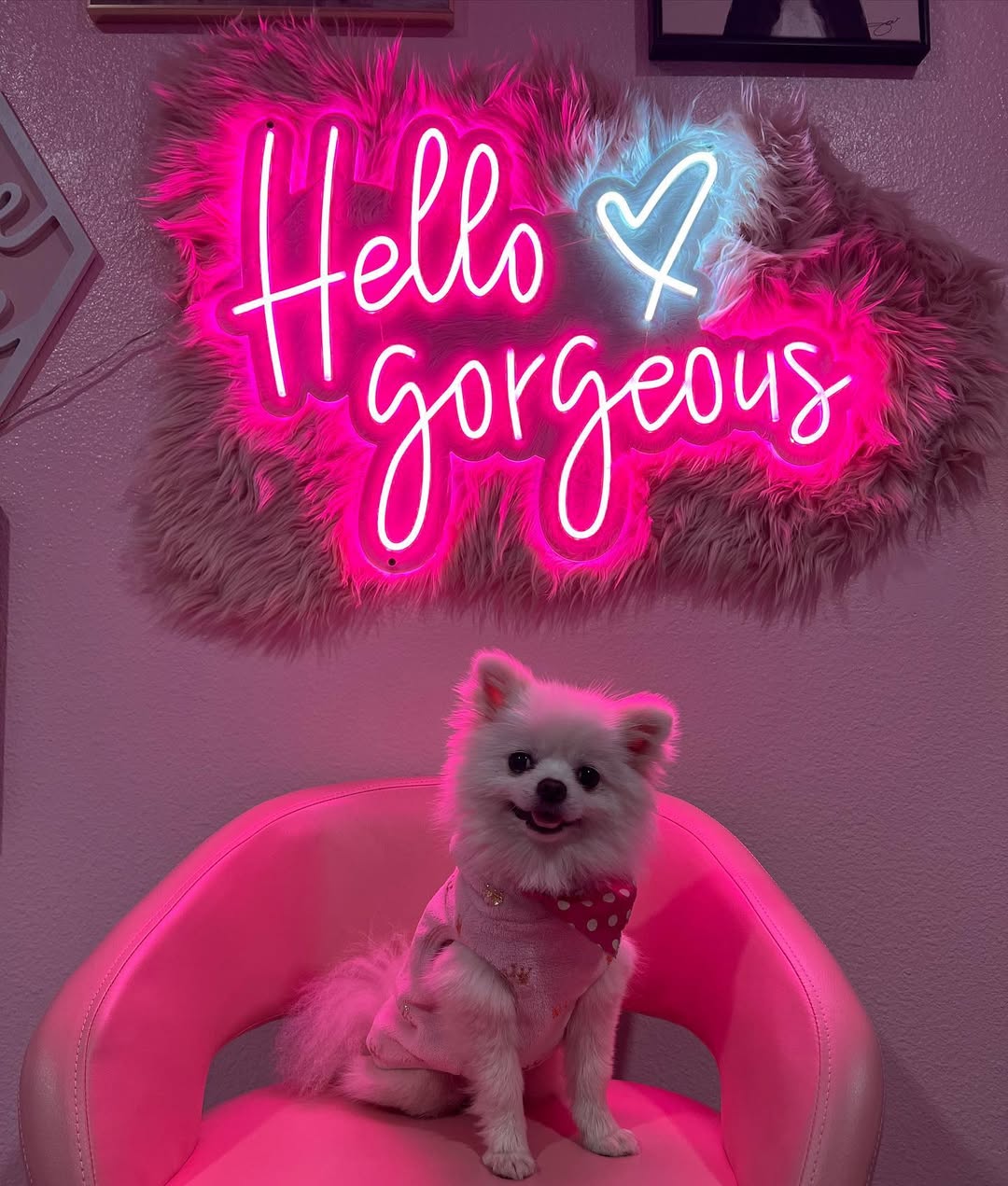 Hello gorgeous 💕
“If you’re sad, add more lipstick and attack” -COCO CHANEL ❤️🔥
•
•
•
#pmu #estheticianlife #classychicbrows #satxpermanentmakeup #satxpmu #satxbeauty #satxmicroblading #satxlips #satxbrows #satxclassychicbrows #satxcosmetictattoo #permanentmakeup #esthetics #estheticssatx #cocochanel #lipblush #cosmetictattoo