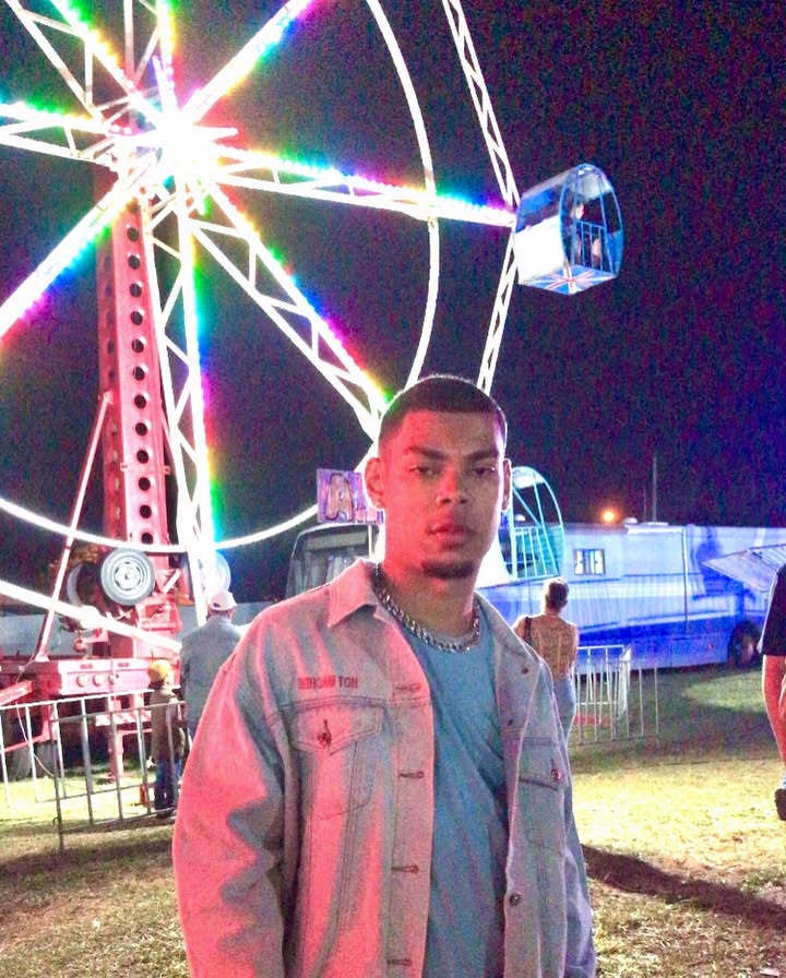 🎡