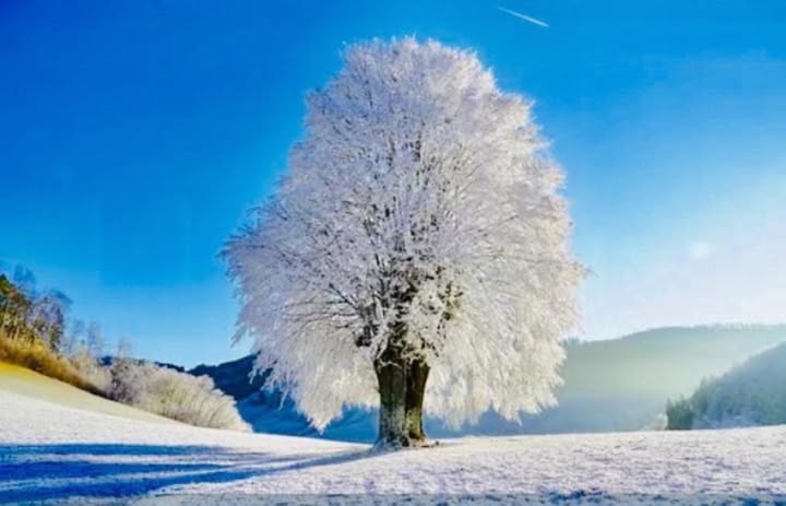 Midwest Winter Landscape #beauty #nature #photography #landscape