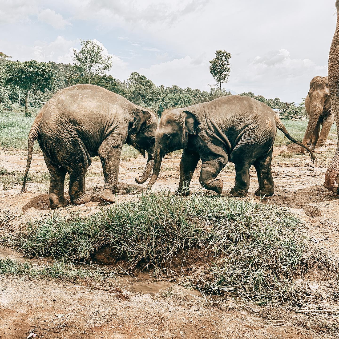 Take a moment 🐘 ☺️