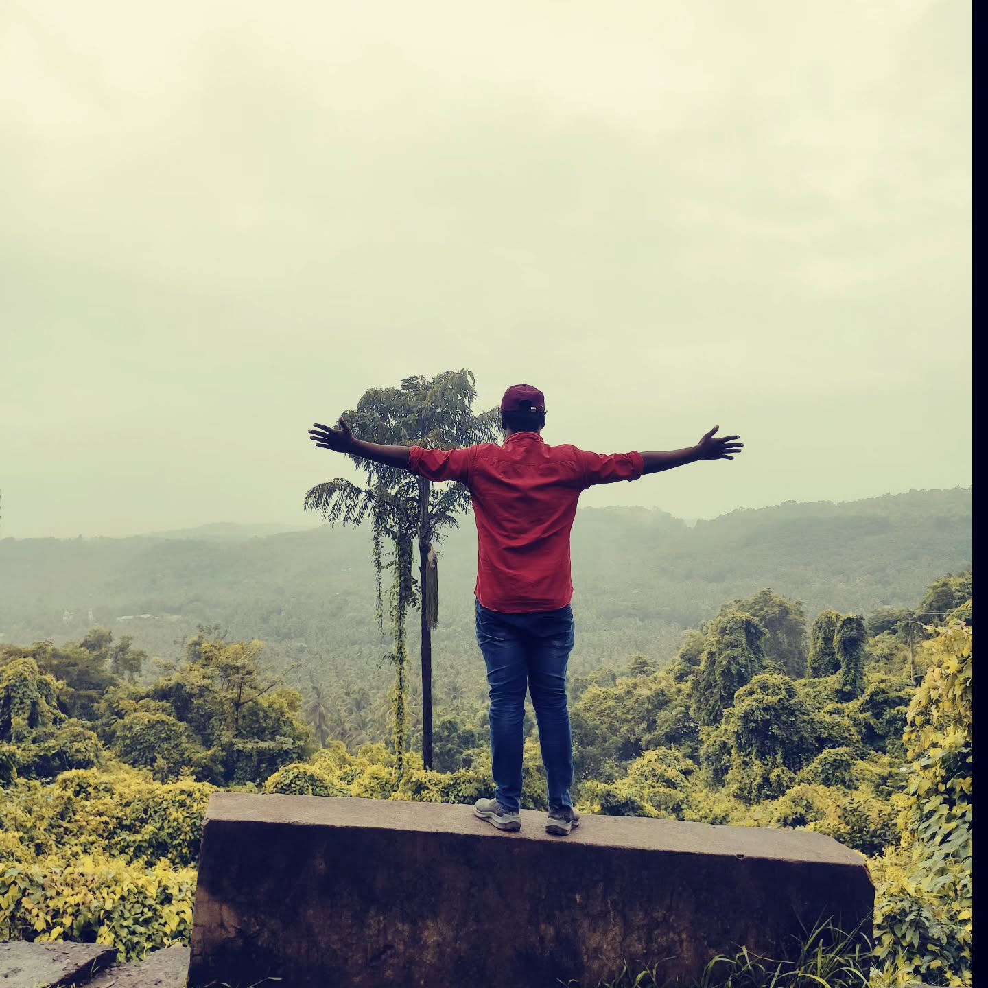✨️#trending #malappuram #love #naturephotography #millionaire