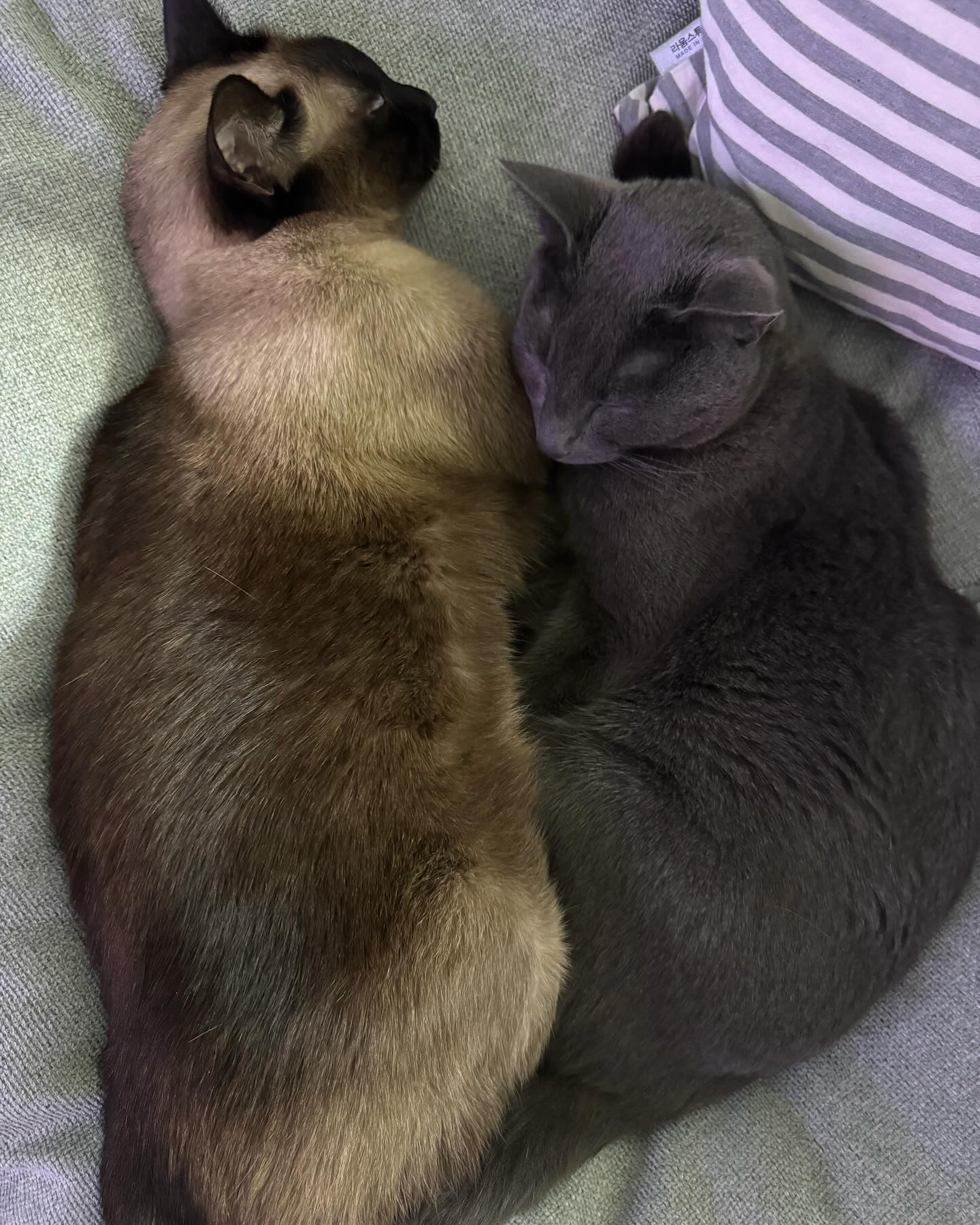 😍