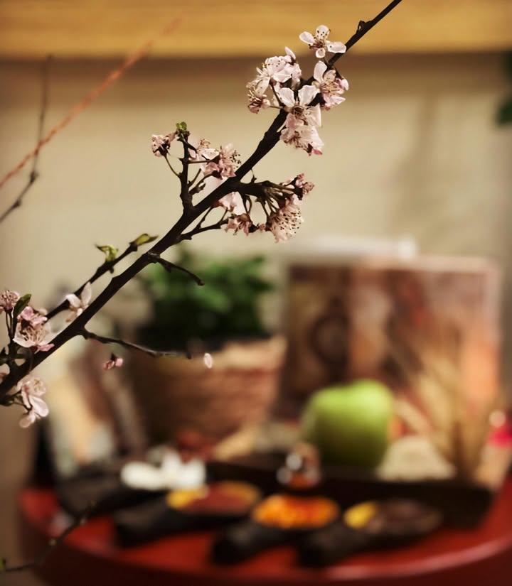 '
شبیه درخت، باز باید شکوفه کرد.
امسال، سال لبخند و برکت و دلِ خوش باشه براتون.
❤️
'
‘