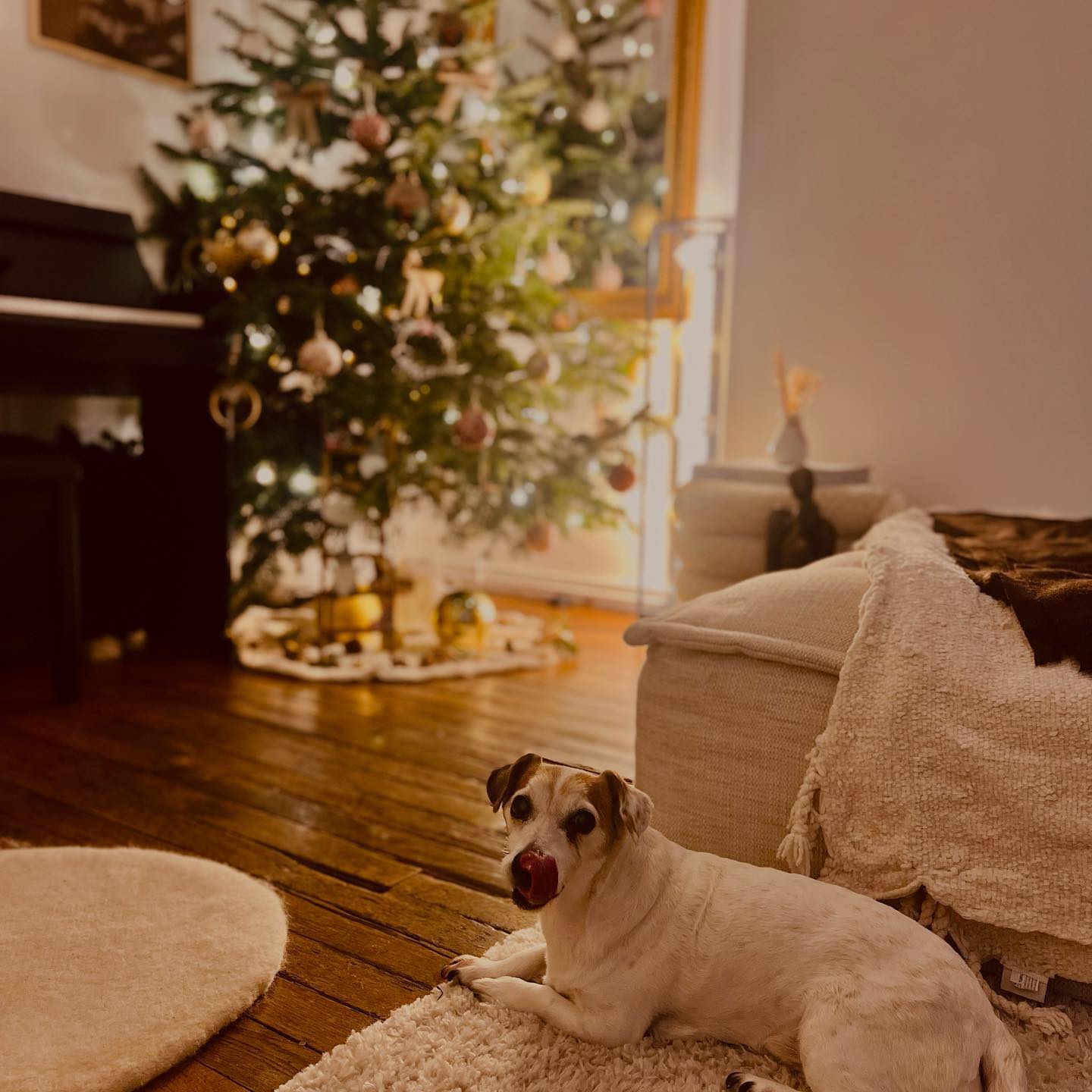 Décembre 🎄🧸🤎