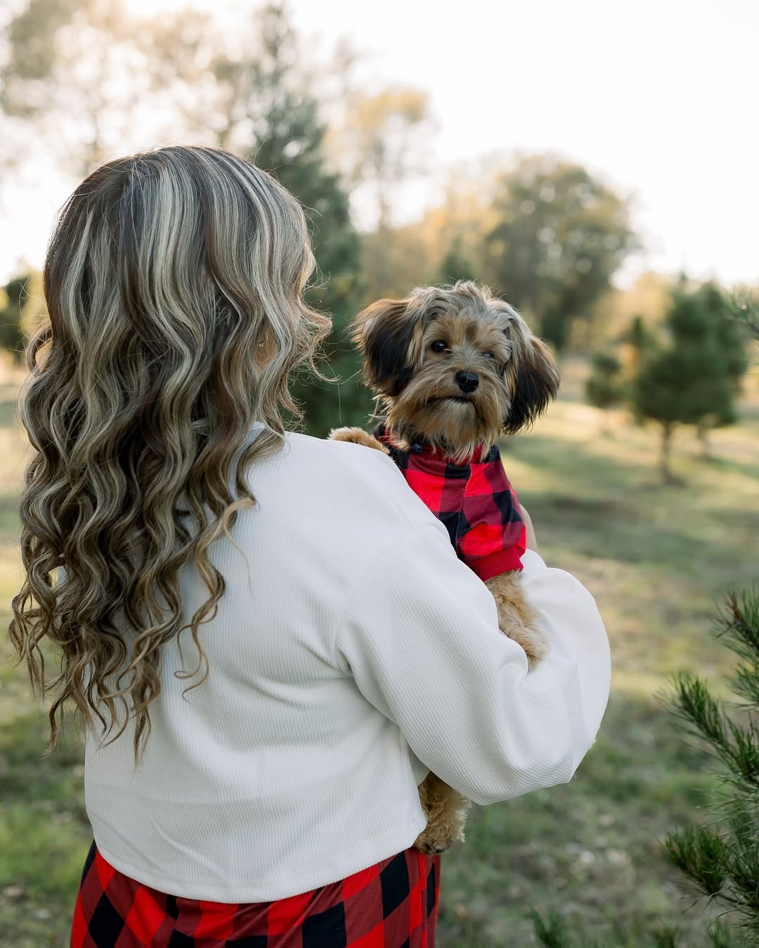 Merry Christmas🎄❤️