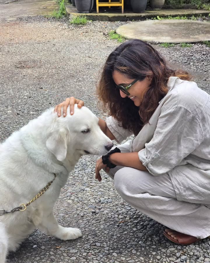 They teach us that love is loyal, patient and always there. No matter what! 😊❤️
Thank you for the pictures 🤗
📸 @director.jisjoy @bineeshchandra